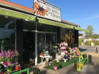 Un Vent de Fleurs